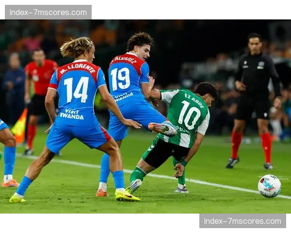 马德里草根足球报告：社区联赛“边锋训练营”参与人数同比上涨30%